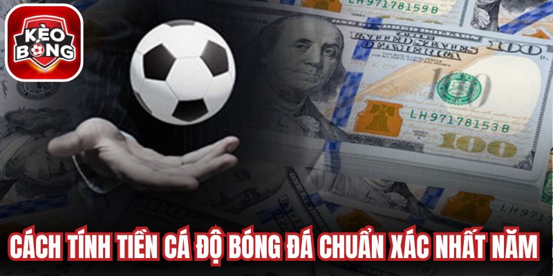 Cách Tính Tiền Cá Độ Bóng Đá