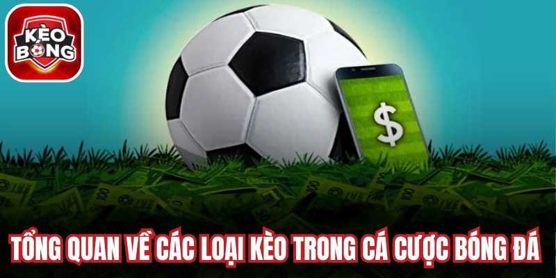 Tổng quan về các loại kèo trong cá cược bóng đá bạn cần nắm bắt