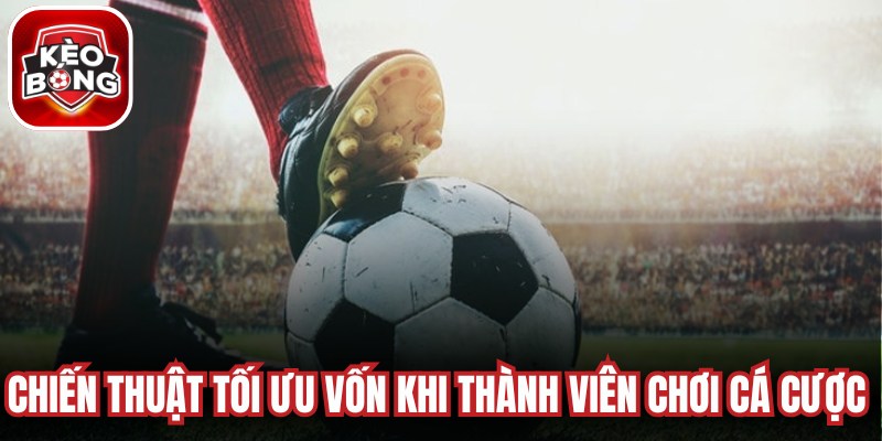 Chiến thuật tối ưu vốn khi thành viên chơi cá cược thể thao