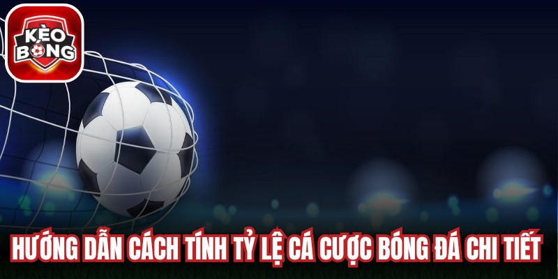 Hướng dẫn cách tính tỷ lệ cá cược bóng đá chi tiết cho anh em