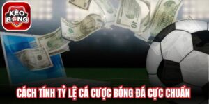 Cách Tính Tỷ Lệ Cá Cược Bóng Đá