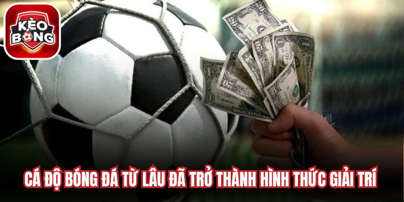 Cá độ bóng đá từ lâu đã trở thành hình thức giải trí quen thuộc của nhiều người