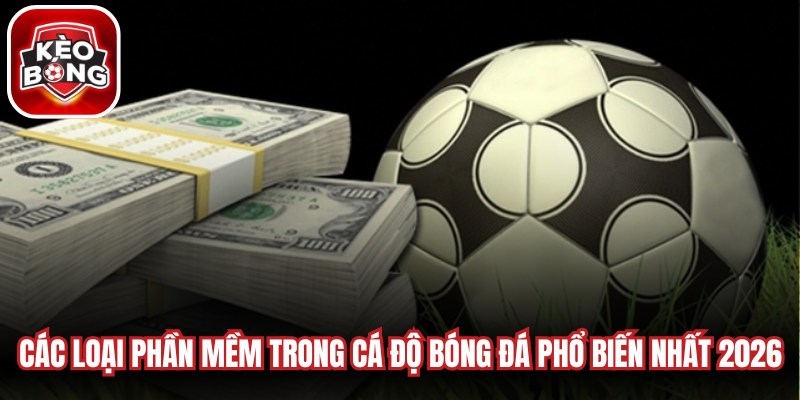 Các loại phần mềm trong cá độ bóng đá phổ biến nhất 2026