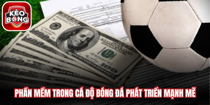 Phần mềm trong cá độ bóng đá phát triển mạnh mẽ, bùng nổ hiện nay