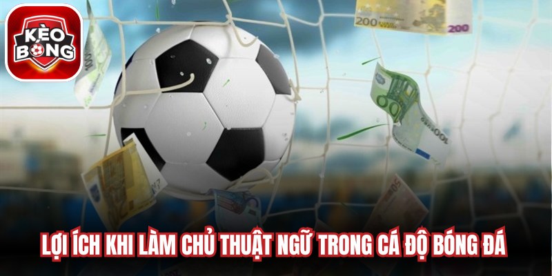 Lợi ích khi làm chủ thuật ngữ trong cá độ bóng đá trong phân tích