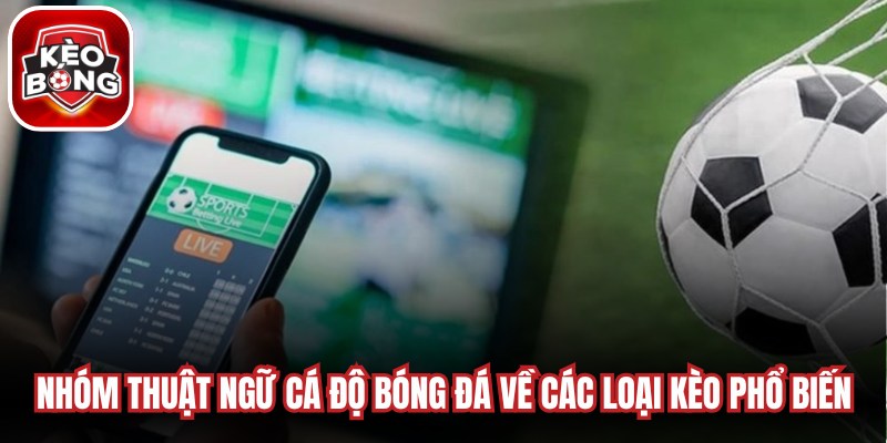 Nhóm thuật ngữ cá độ bóng đá về các loại kèo phổ biến