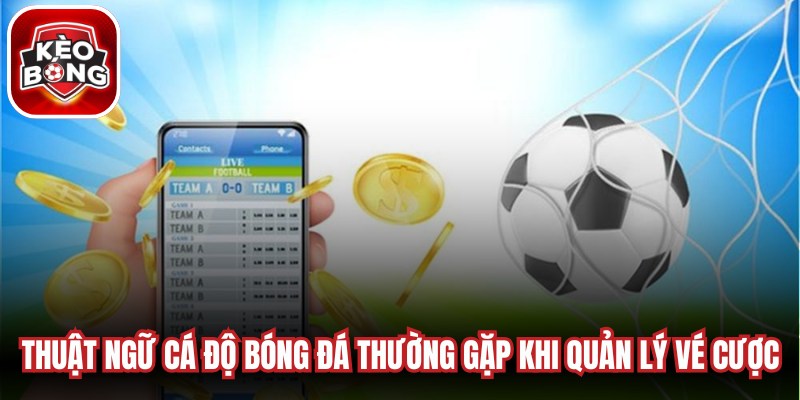 Các thuật ngữ cá độ bóng đá thường gặp khi quản lý vé cược