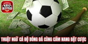 Thuật Ngữ Cá Độ Bóng Đá