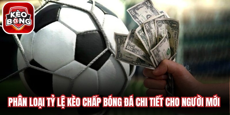 Phân loại tỷ lệ kèo chấp bóng đá chi tiết cho người mới bắt đầu
