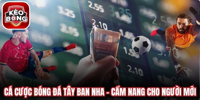 Cá Cược Bóng Đá Tây Ban Nha