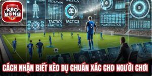 Cách Nhận Biết Kèo Dụ