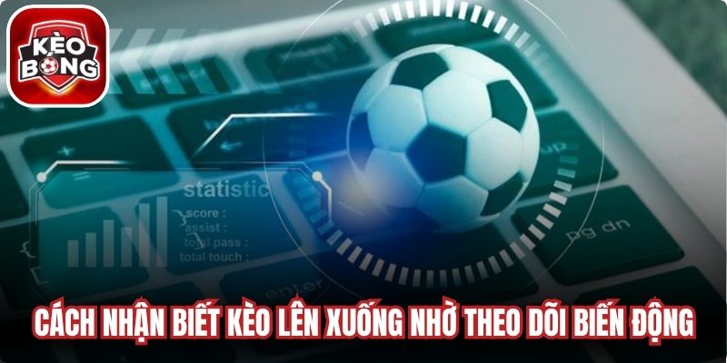 Cách nhận biết kèo lên xuống nhờ theo dõi biến động 
