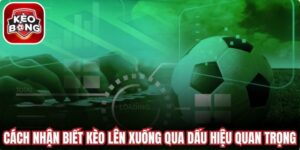 Cách Nhận Biết Kèo Lên Xuống