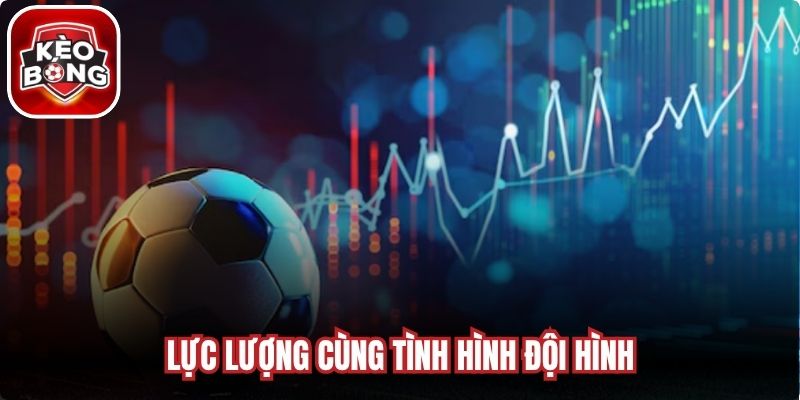 Lực lượng cùng tình hình đội hình 