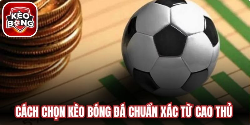 Cách chọn kèo bóng đá chuẩn xác từ cao thủ hỗ trợ bạn thắng lớn