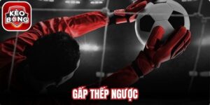 Gấp Thếp Ngược