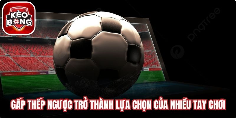 Gấp thếp ngược trở thành lựa chọn hàng đầu của nhiều tay chơiGấp thếp ngược trở thành lựa chọn hàng đầu của nhiều tay chơi