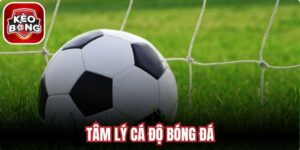 Tâm Lý Cá Độ Bóng Đá