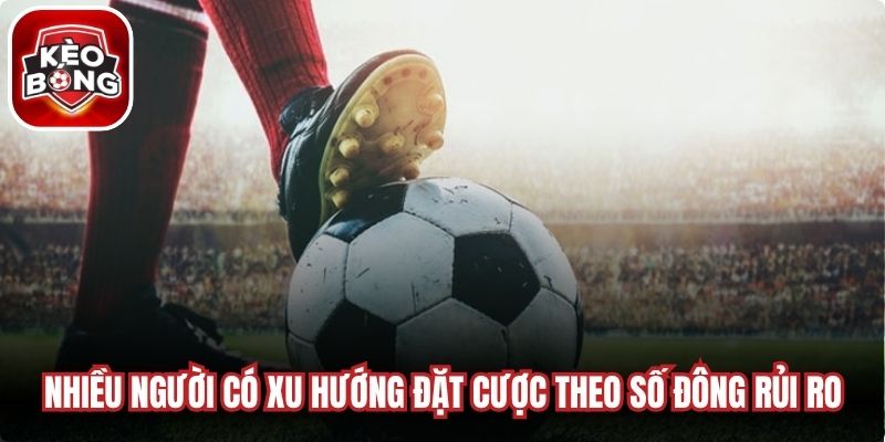 Nhiều người có xu hướng đặt cược theo số đông cực kỳ rủi ro