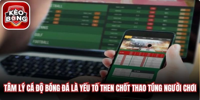 Tâm lý cá độ bóng đá là yếu tố then chốt thao túng mọi người chơi