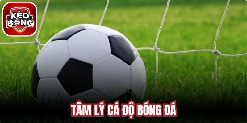 Tâm Lý Cá Độ Bóng Đá